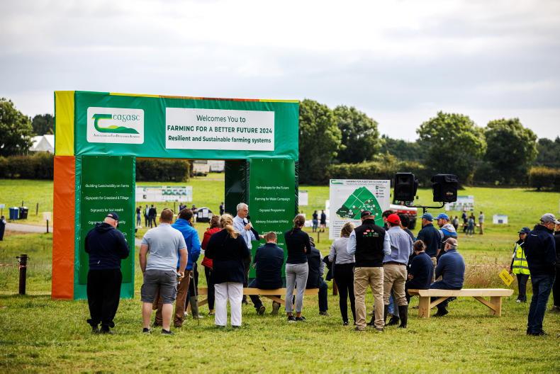 Teagasc appoints new head of environmental research