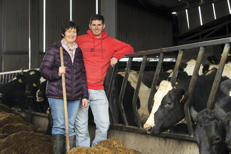Farmer Writes: mistakes made, lessons learned 