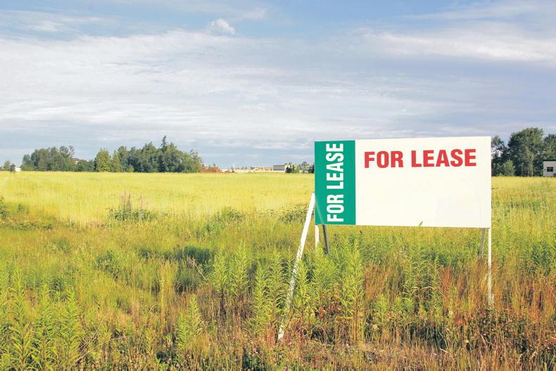 Auctioneer handling plenty of leases ahead of the 2025 season