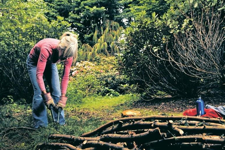 Gardening with Kitty: spring into action