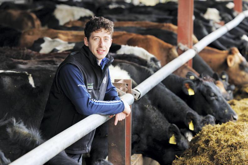 My Farming Week: Mark Bateman, Lissarda, Co Cork
