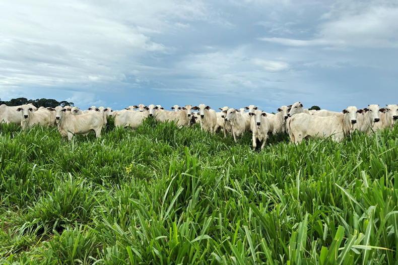 Market Digest: stories from around the world 