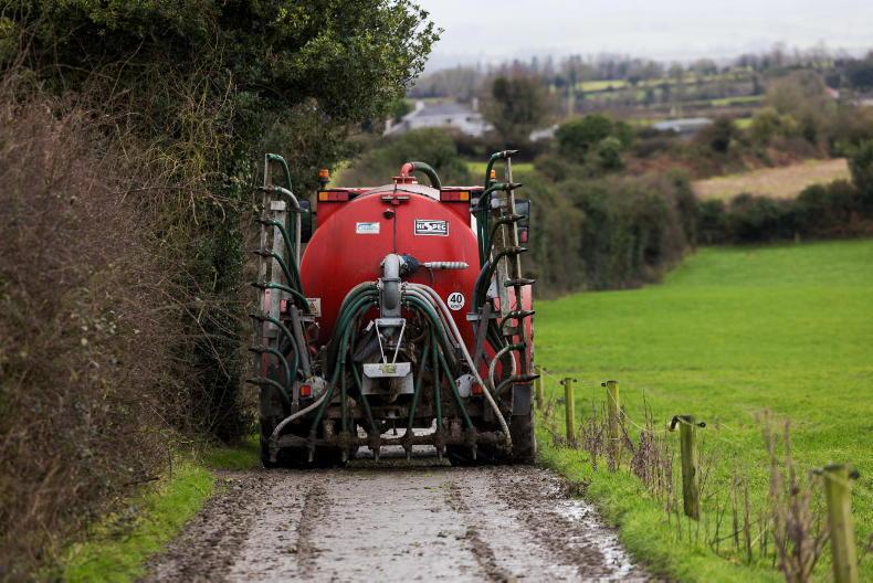 Dairy Management: planning for a good grass year