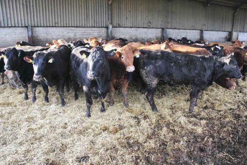 Beef continues to set weekly record highs