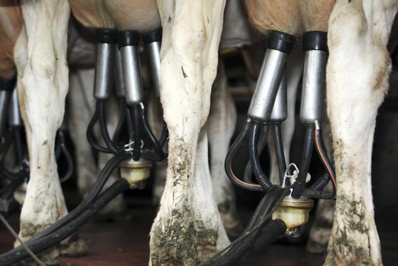 Milk prices maintained for December supplies