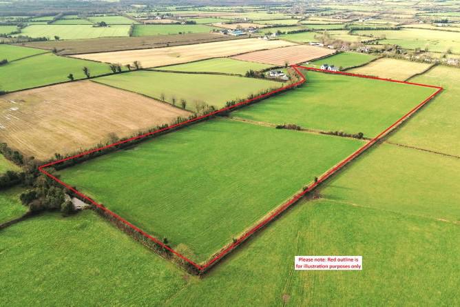 Pair of Laois holdings set for auction