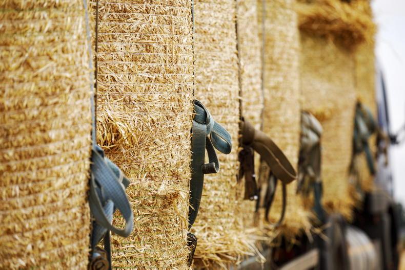 Straw prices steady but demand on the rise
