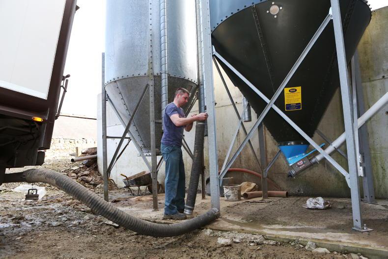 Feed prices steady but trajectory heading north 