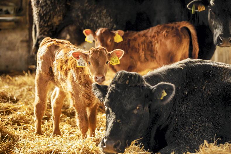 Proposals sought for agri-food tourism initiatives