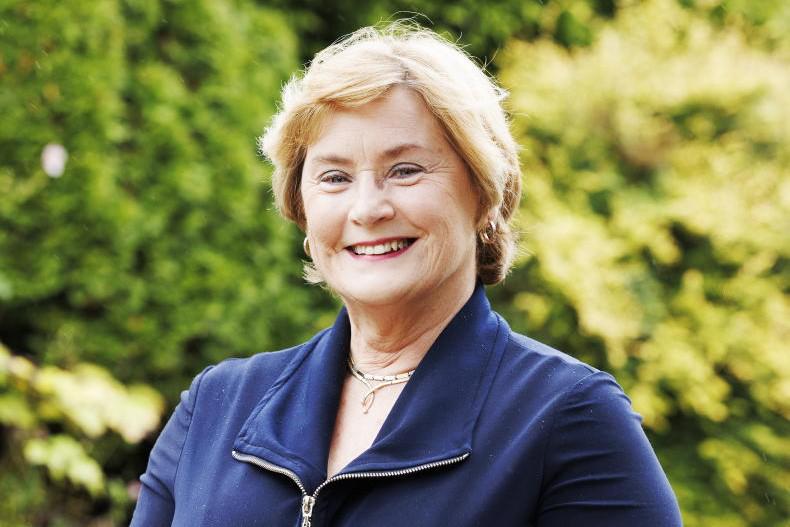 ‘The sight of those bright yellow ESB vans pulling into the drive was wonderful'