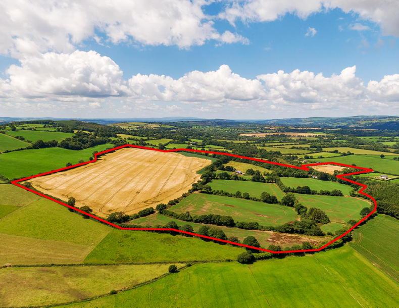 Farmland prices rise by €590/ac
