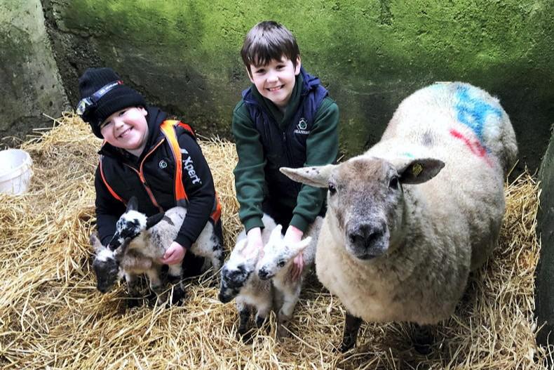 Country vibes...a few of our favourite things