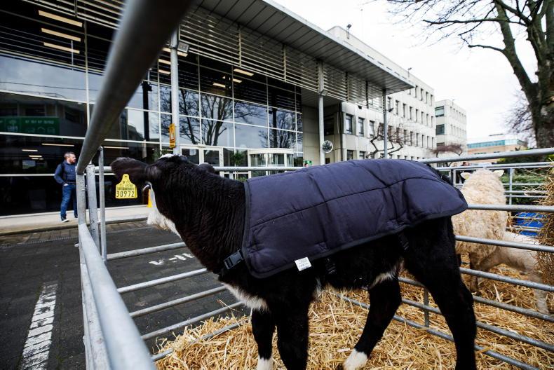 The future of the Irish Farm Centre             