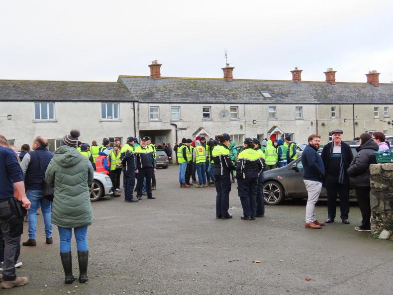 Student farmer views: New Zealand calling after college
