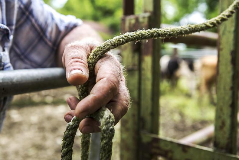 Irish farmer social initiative goes stateside