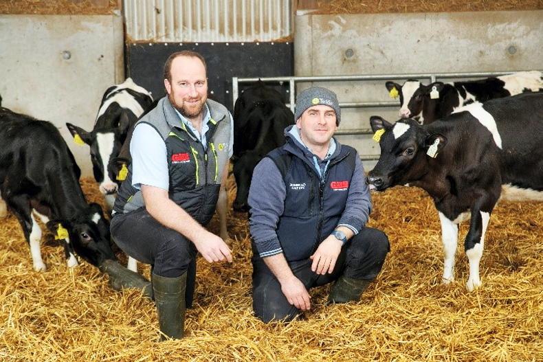 Wicklow dairy farmer boosts efficiency with GAIN Easi-Mix