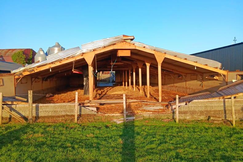 Farmer Writes: post-storm tidy-up continues
