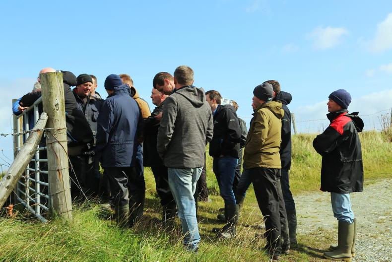 New training to give NI farmers a media voice