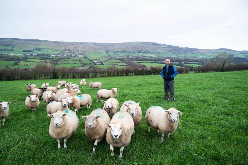 Farmer Writes: what price is too dear?