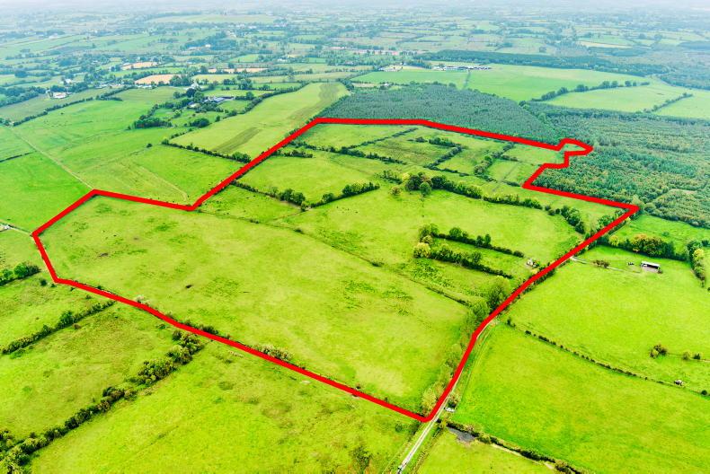 Westmeath farm exceeds guide price at auction