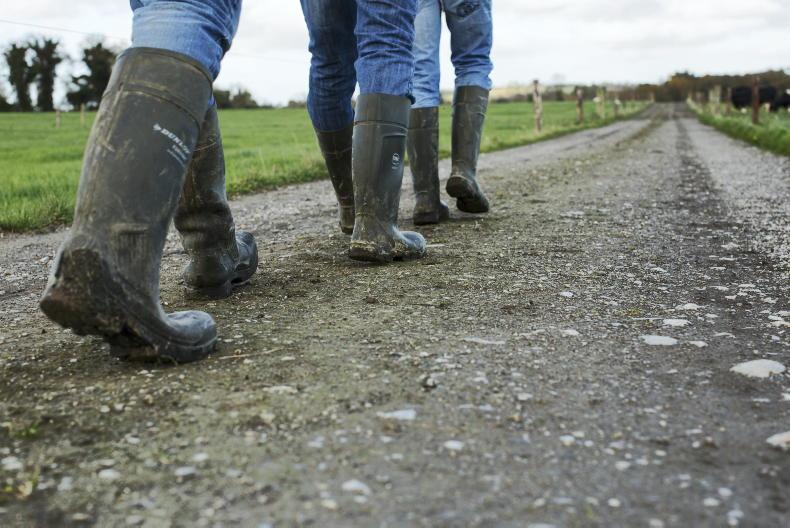 ‘Treacherous road’ for young farmers to next financial framework - CEJA
