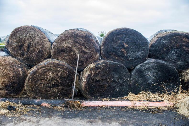 Sheds and bales burned in arson attack on Kildare stud farm