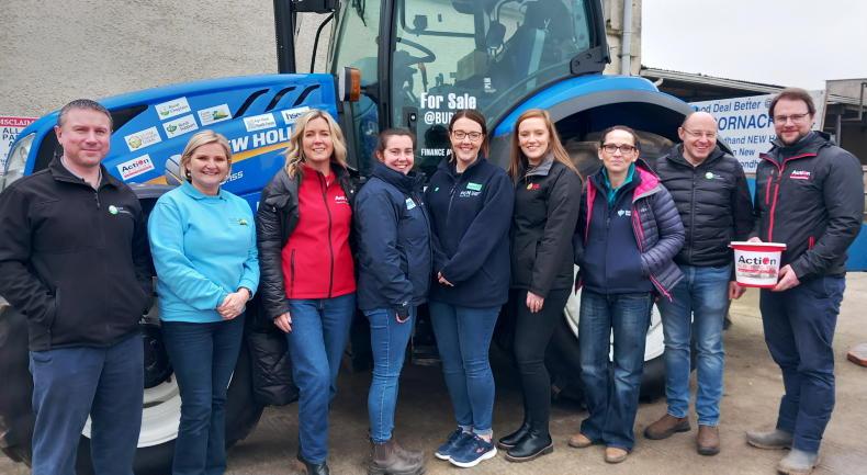 Weanlings up £1/kg at NI livestock marts