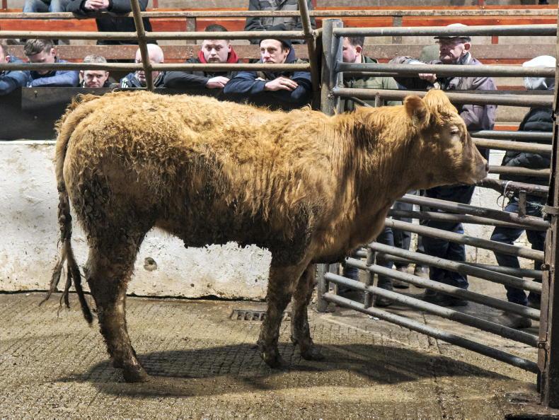 Mohill’s Monaghan day sales moves up the dials