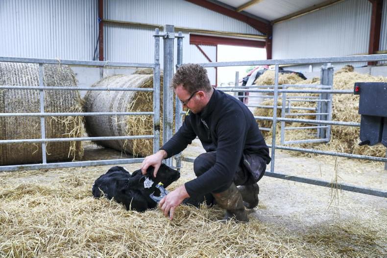 Record number of calf DNA samples collected to date