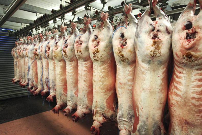 Sheep trends: Price climbs back over €9/kg