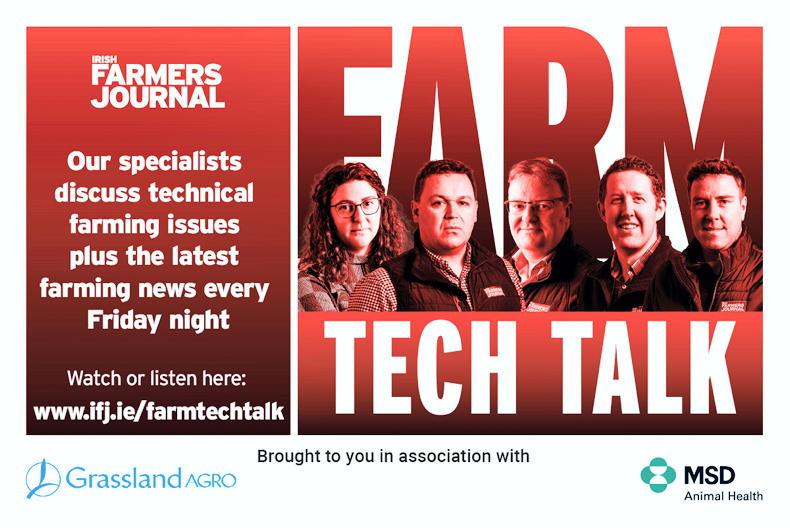 Farm Tech Talk: calving update, grass growth and the next CAP