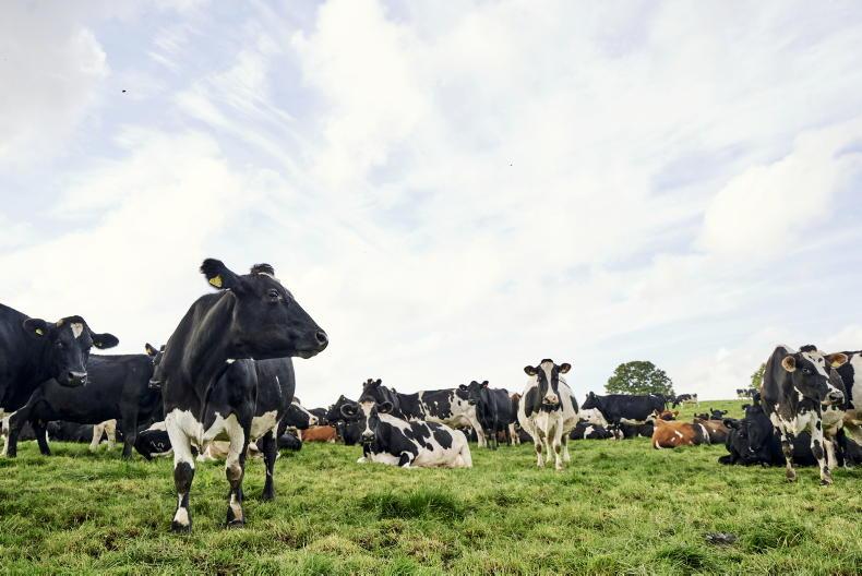 Inheritance tax changes to impact over 42,200 English and Scottish farms 