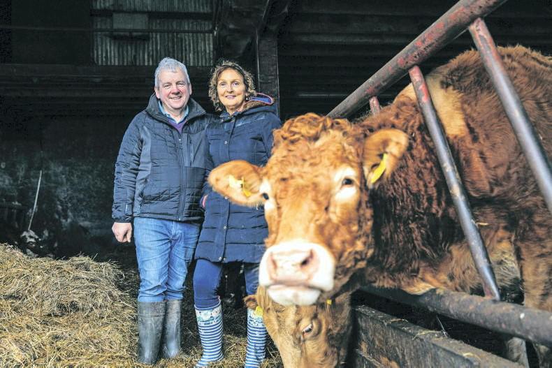 My Farming Week: Seamus Cornyn, Drumshanbo, Co Leitrim