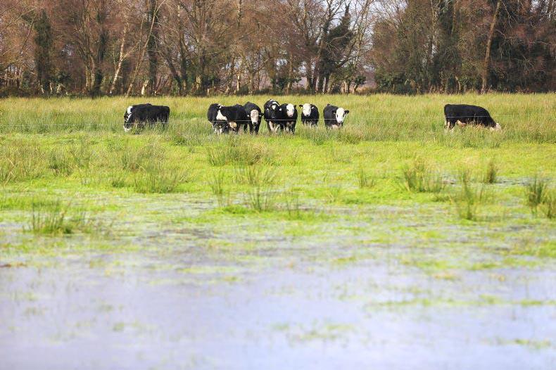 New project to explore value of biodiversity actions on farms
