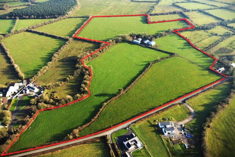 Small farm comes with extensive cattle yard in Kilkenny