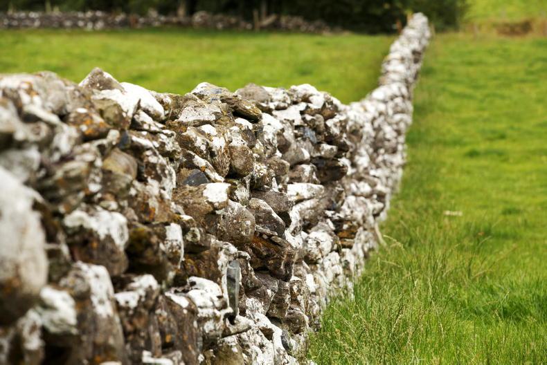 Farmers need answers and payment clarity on ACRES - IFA