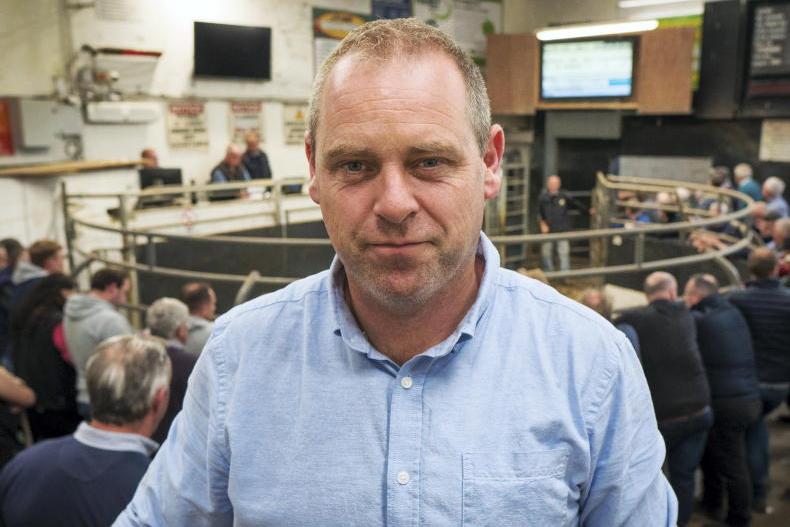 Watch: dry cows hit €4.43/kg in Elphin