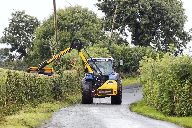 Grant for roadside hedge and tree cutting ruled out by Minister for Transport