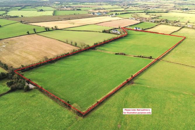 Auction news: €25,000/ac paid for small parcels