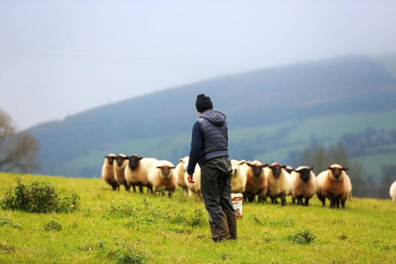 Farm incomes for female farmers 'consistently lower' than male farmers - study