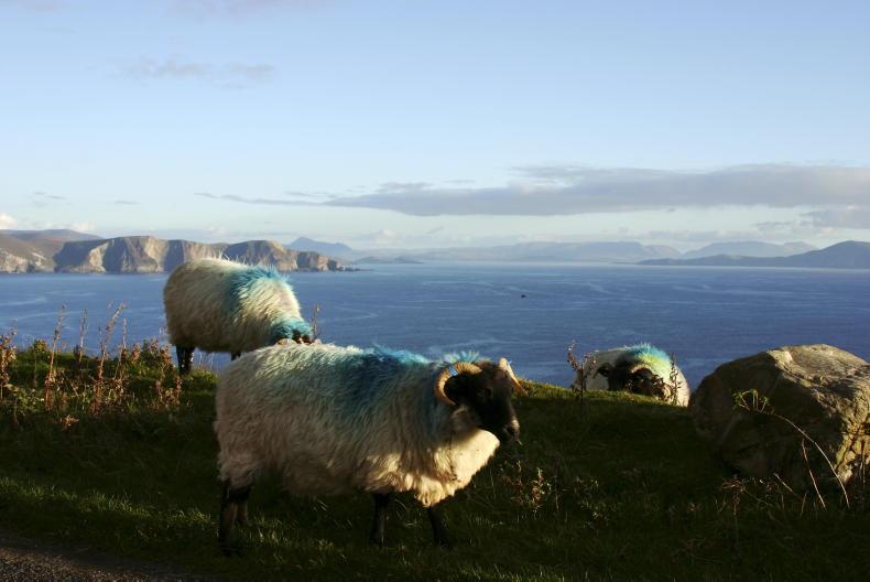 Another ACRES interim payment needed - IFA