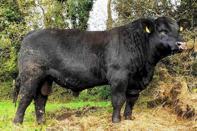 Farmer views: ‘stars aren’t the be all and end all’
