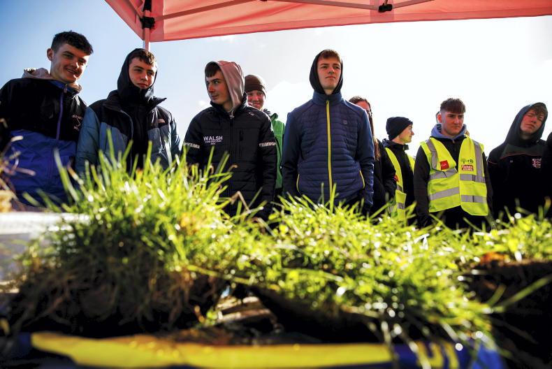 CAO: increased interest in ag and vet courses