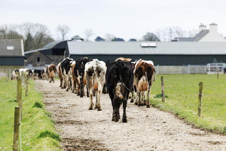 Weekend weather: staying chilly but dry