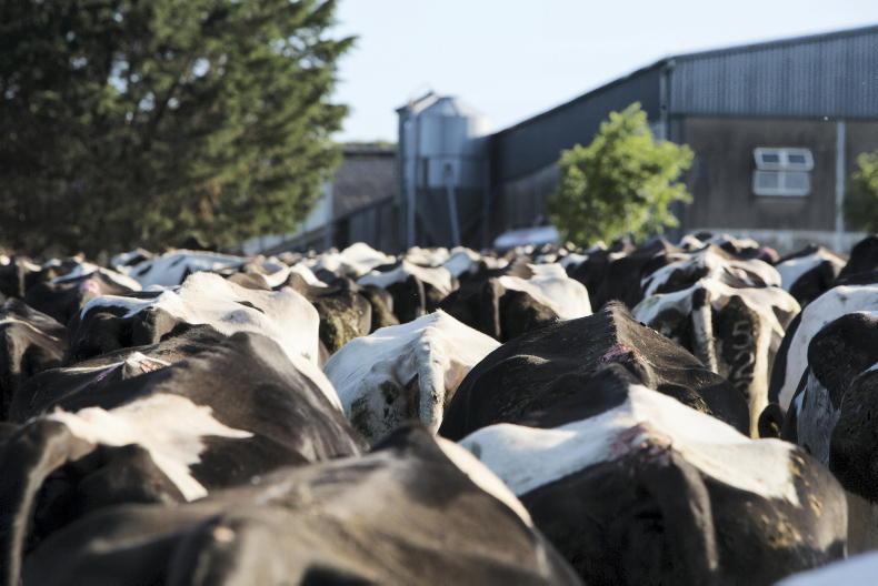 Share your views: what will the next 10 years in dairy look like?