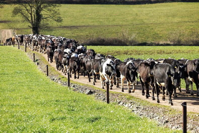 Spring feeding Q&A with Teagasc experts