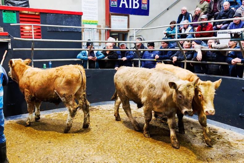 Camera at the Mart: red hot trade in Cahersiveen spring show and sale