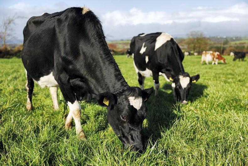 Stormont needs to up the pace on net zero – CCC