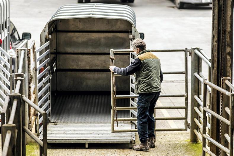 Eight new bluetongue cases in England over past week