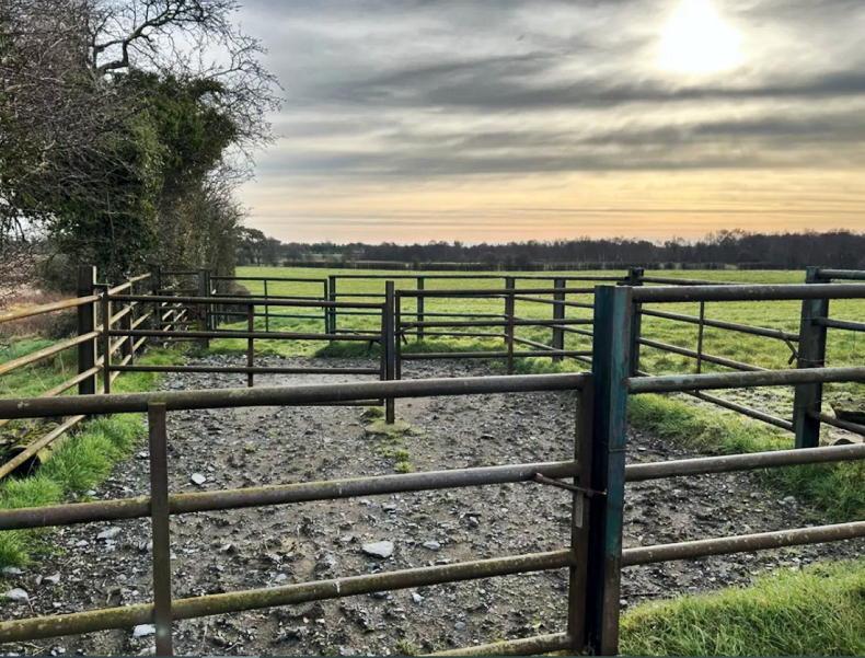 Well-fenced cattle ground in Westmeath